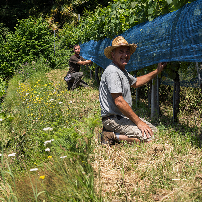 Cantine Stucky-HüginCantine Stucky-Hügin