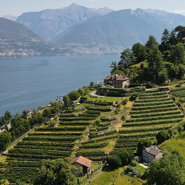 Cantine Stucky-HüginCantine Stucky-Hügin